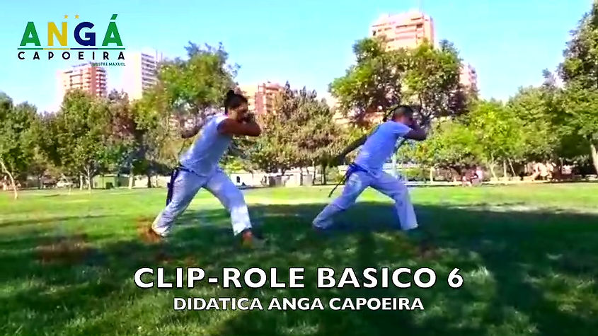 CLIP-ROLE BASICO 6